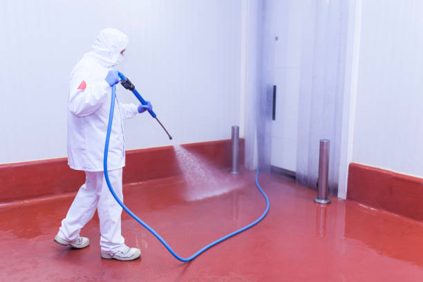 Best Solar Panel Cleaning  in East Rancho Dominguez, CA